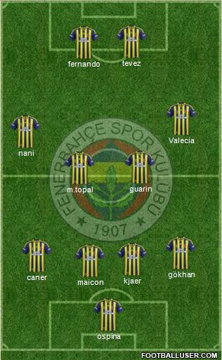 Fenerbahçe SK Formation 2015