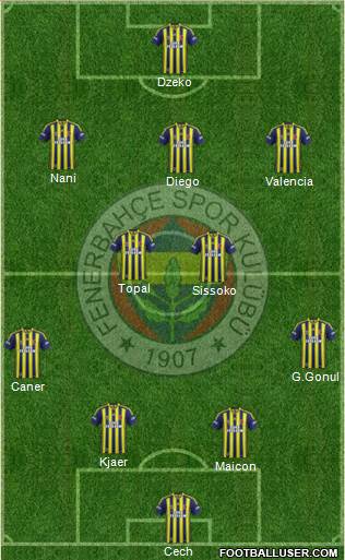 Fenerbahçe SK Formation 2015
