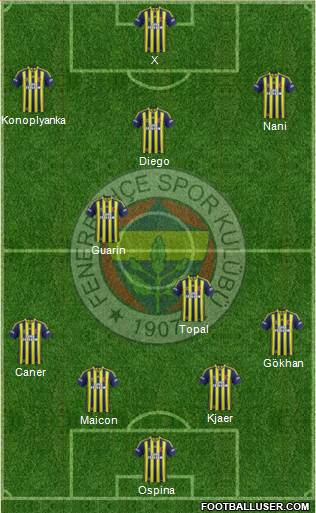 Fenerbahçe SK Formation 2015