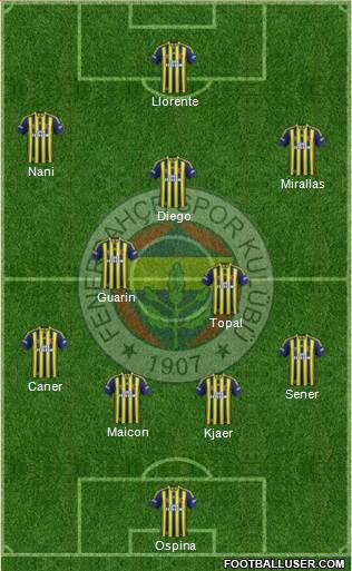 Fenerbahçe SK Formation 2015
