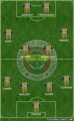 Fenerbahçe SK Formation 2015
