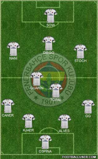 Fenerbahçe SK Formation 2015
