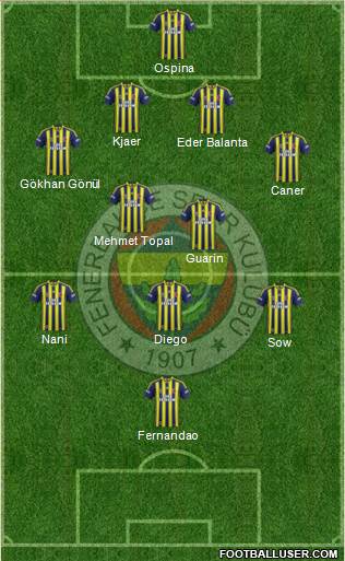 Fenerbahçe SK Formation 2015