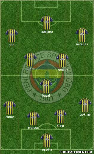 Fenerbahçe SK Formation 2015
