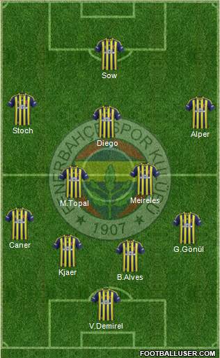 Fenerbahçe SK Formation 2015