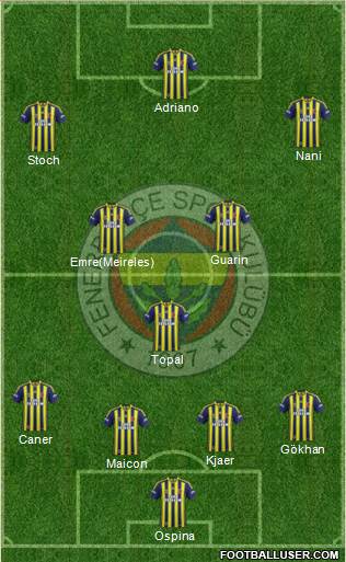 Fenerbahçe SK Formation 2015