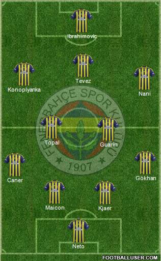 Fenerbahçe SK Formation 2015