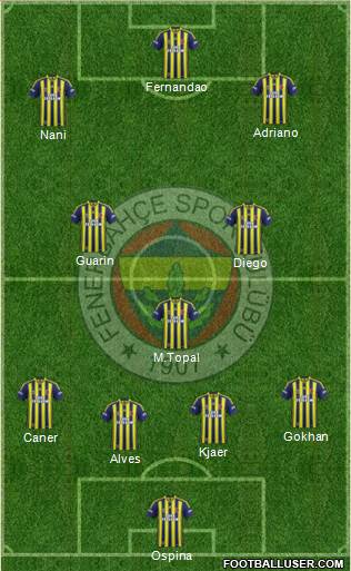 Fenerbahçe SK Formation 2015