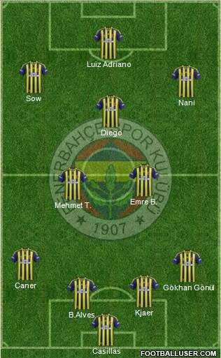 Fenerbahçe SK Formation 2015