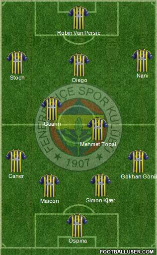 Fenerbahçe SK Formation 2015