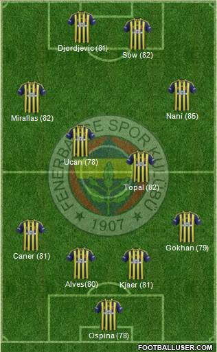 Fenerbahçe SK Formation 2015