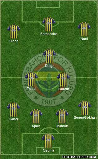Fenerbahçe SK Formation 2015
