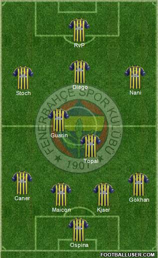 Fenerbahçe SK Formation 2015