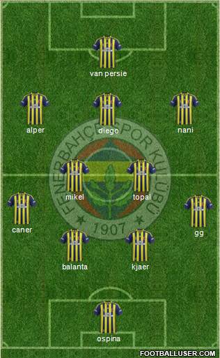 Fenerbahçe SK Formation 2015