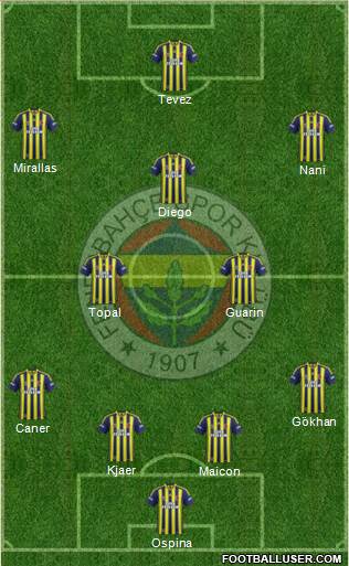 Fenerbahçe SK Formation 2015