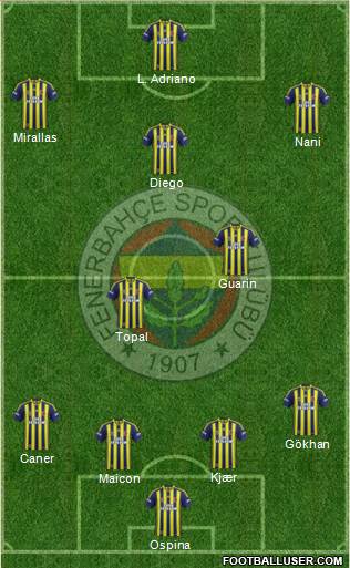 Fenerbahçe SK Formation 2015