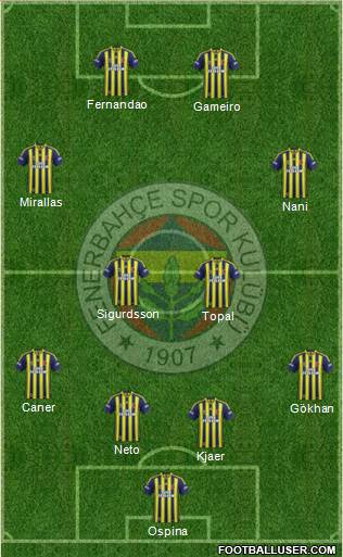 Fenerbahçe SK Formation 2015