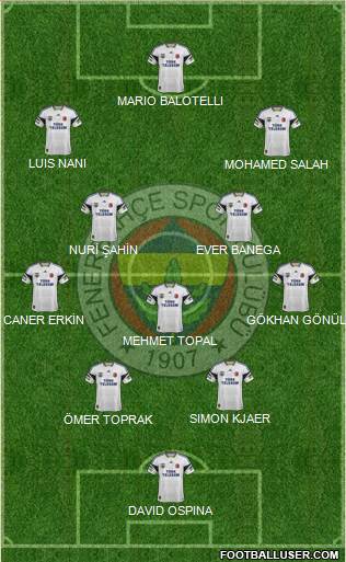 Fenerbahçe SK Formation 2015