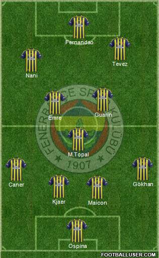 Fenerbahçe SK Formation 2015