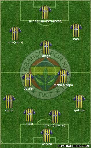 Fenerbahçe SK Formation 2015