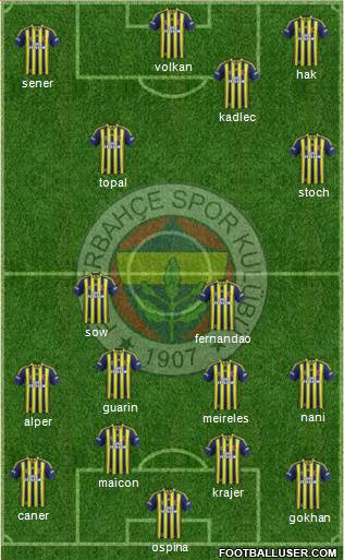 Fenerbahçe SK Formation 2015