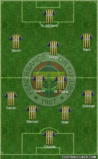 Fenerbahçe SK Formation 2015