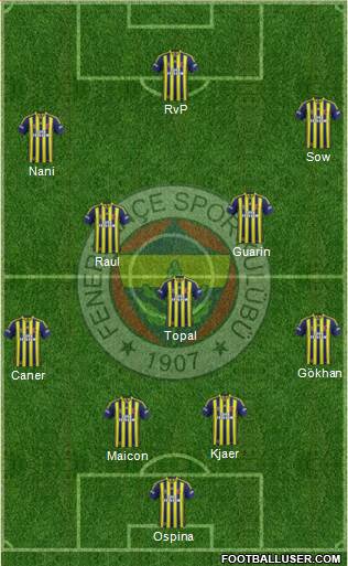 Fenerbahçe SK Formation 2015