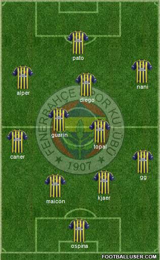 Fenerbahçe SK Formation 2015