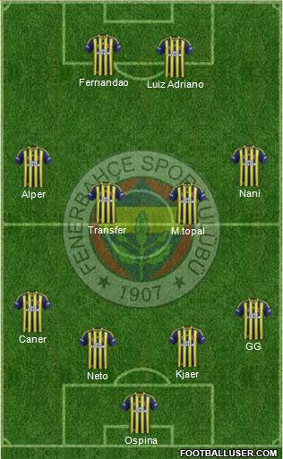 Fenerbahçe SK Formation 2015