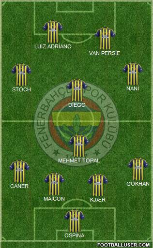 Fenerbahçe SK Formation 2015