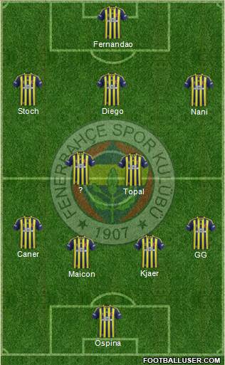 Fenerbahçe SK Formation 2015