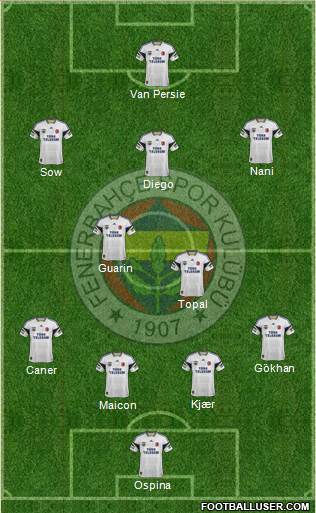 Fenerbahçe SK Formation 2015