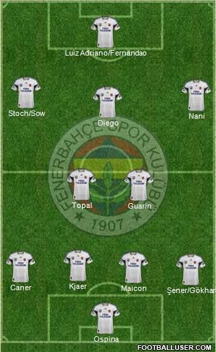 Fenerbahçe SK Formation 2015