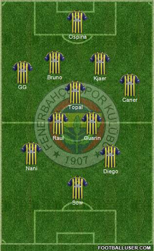 Fenerbahçe SK Formation 2015