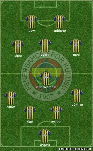Fenerbahçe SK Formation 2015