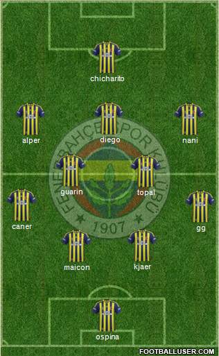 Fenerbahçe SK Formation 2015