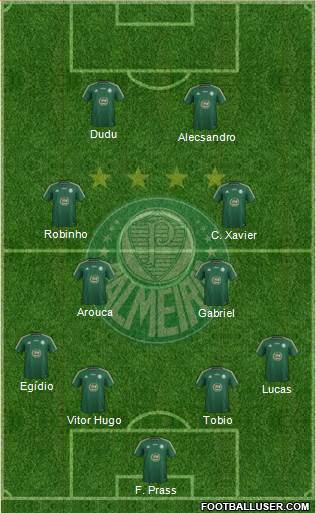 SE Palmeiras Formation 2015
