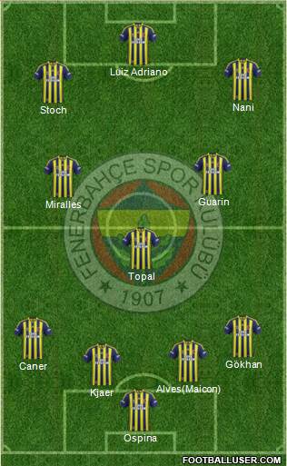 Fenerbahçe SK Formation 2015