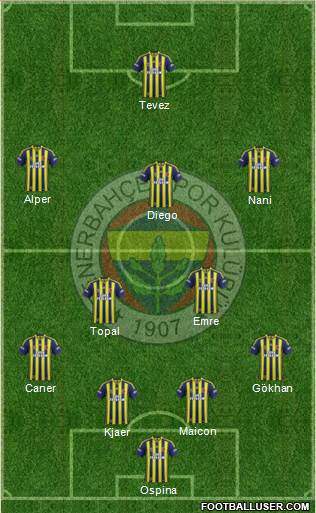 Fenerbahçe SK Formation 2015