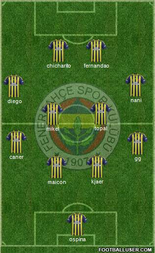 Fenerbahçe SK Formation 2015