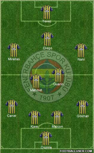 Fenerbahçe SK Formation 2015