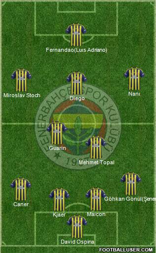 Fenerbahçe SK Formation 2015