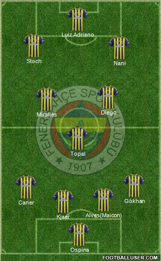 Fenerbahçe SK Formation 2015