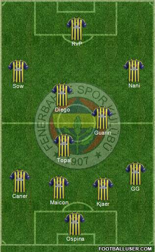Fenerbahçe SK Formation 2015
