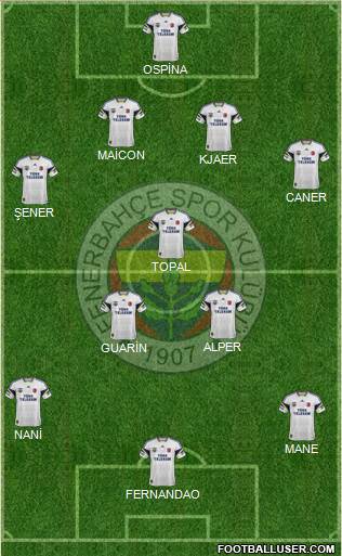 Fenerbahçe SK Formation 2015