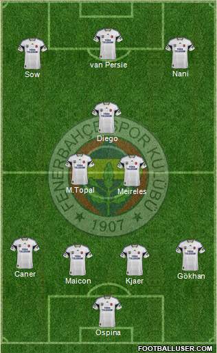 Fenerbahçe SK Formation 2015