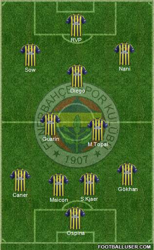 Fenerbahçe SK Formation 2015