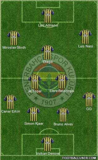 Fenerbahçe SK Formation 2015