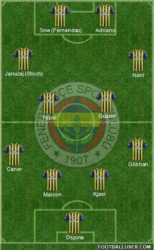 Fenerbahçe SK Formation 2015