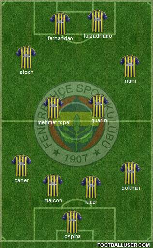 Fenerbahçe SK Formation 2015